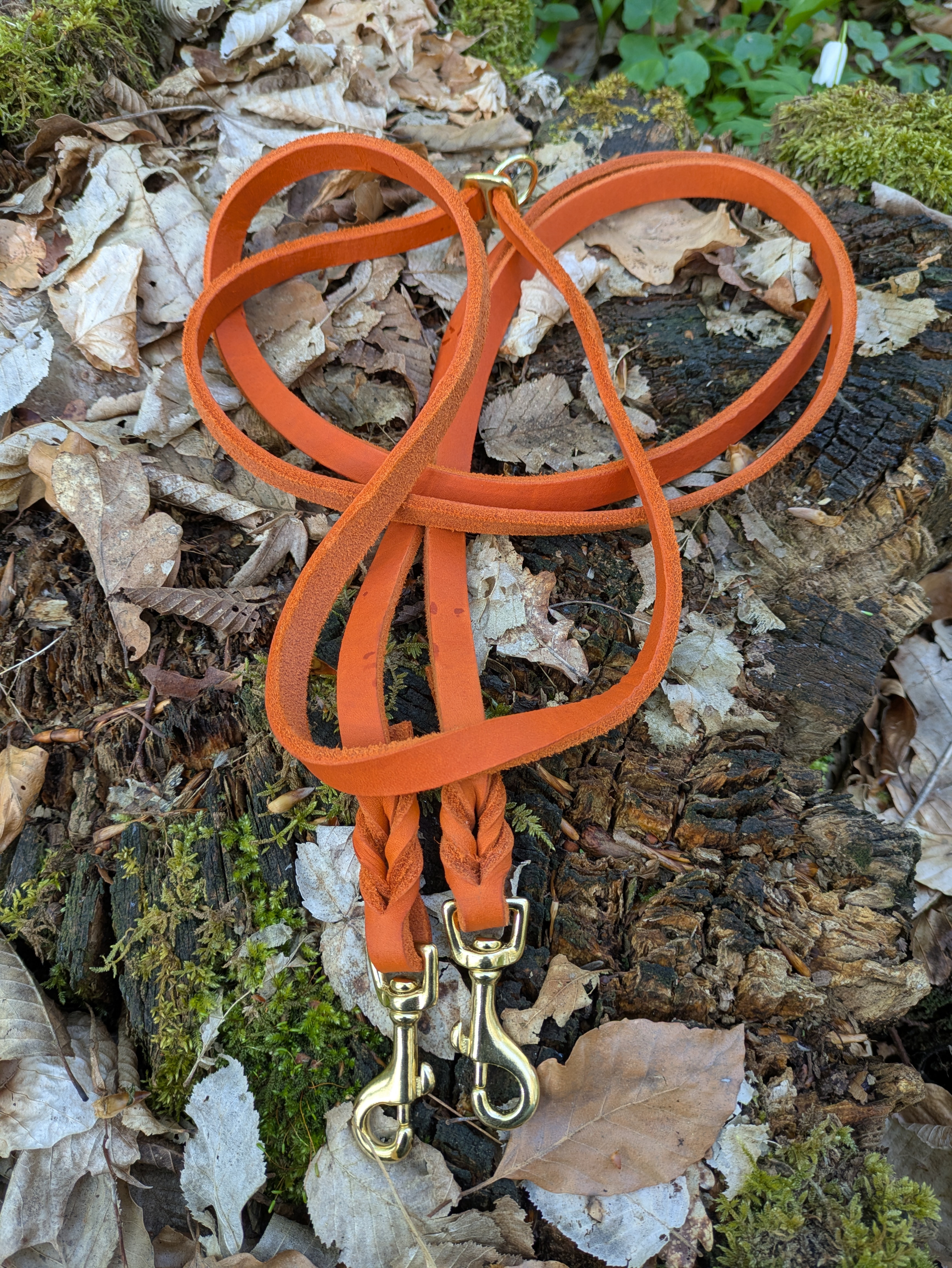 Leine in Orange mit Messingbeschlägen